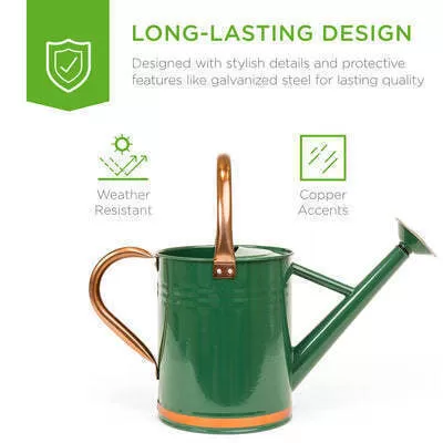 1-Gallon Galvanized Steel Watering Can w/ O-Ring, Top Handle - Amazon