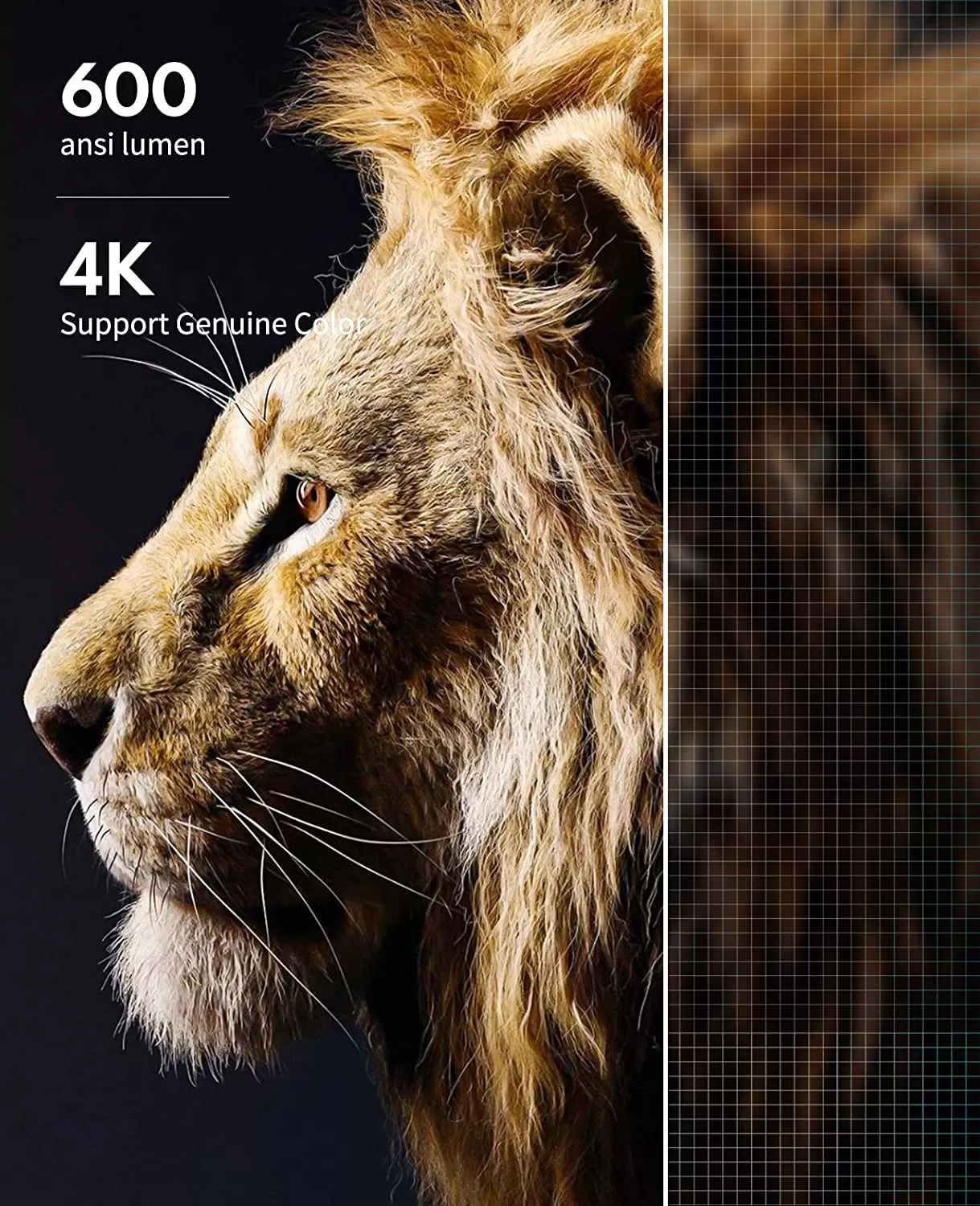 GooDee Projector 4K with WiFi and Bluetooth Supported, FHD 1080P Mini Projector for Outdoor Moives, 5G Video Projector for Home Theater Dolby Audio Zoom Portable Projector TV Stick PPT (YG600 Plus) - Amazon