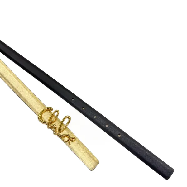 Chloe Logo Buckle Belt In Gold/Khaki/Brown/Red/Pink Calfskin With Gold Hardware 20mm - Image 2