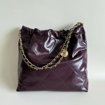 Chanel 22bags Wine Red / Mint green Shoulder Bags
