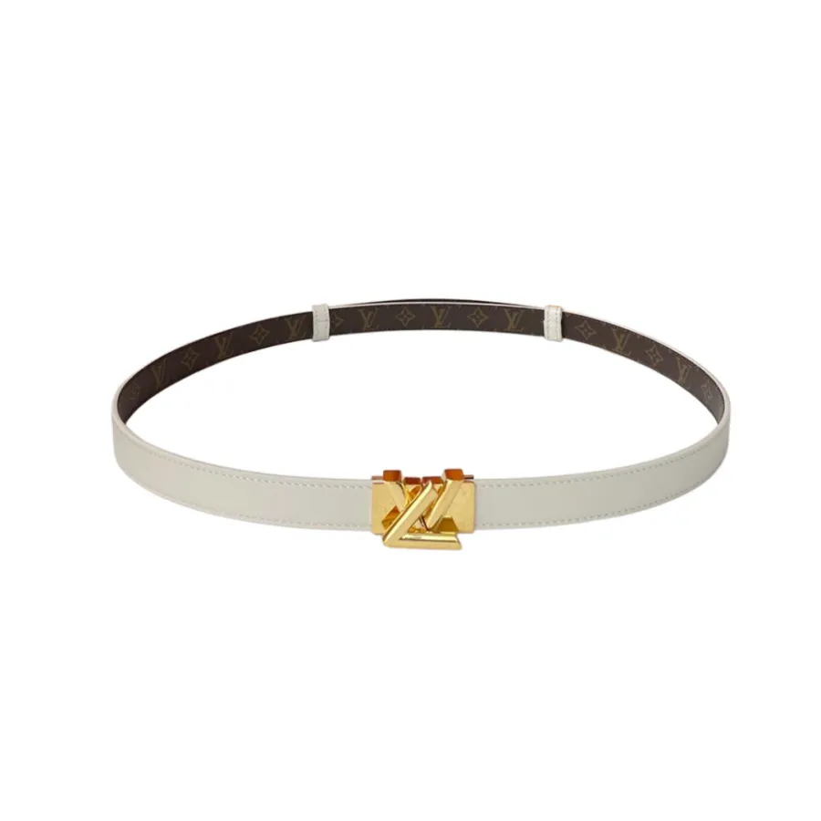 Louis Vuitton Women's GO-14 Adjustable Belt In Black/Brown/White Calfskin And Monogram Canvas With Gold/Silver Hardware 20mm