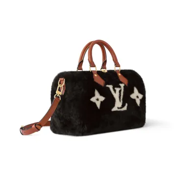 Louis Vuitton Bags Speedy
