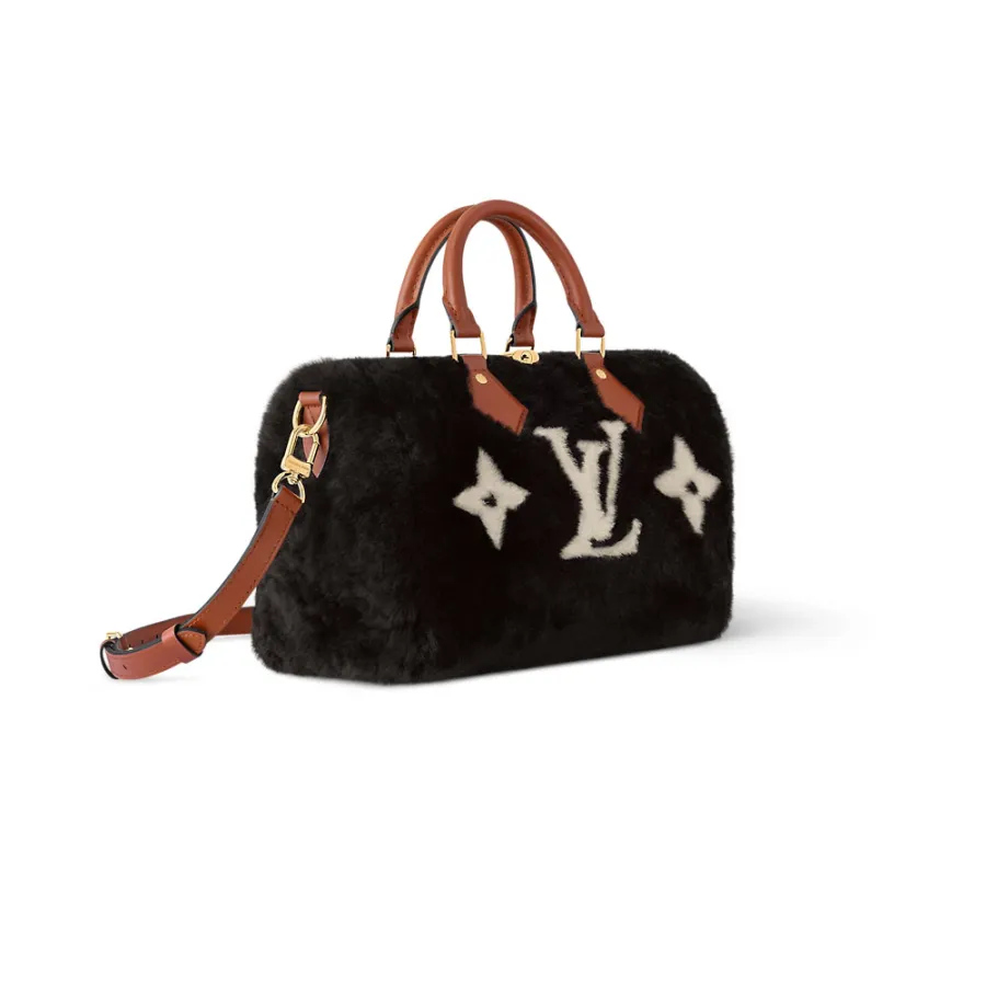 Louis Vuitton Bags Speedy