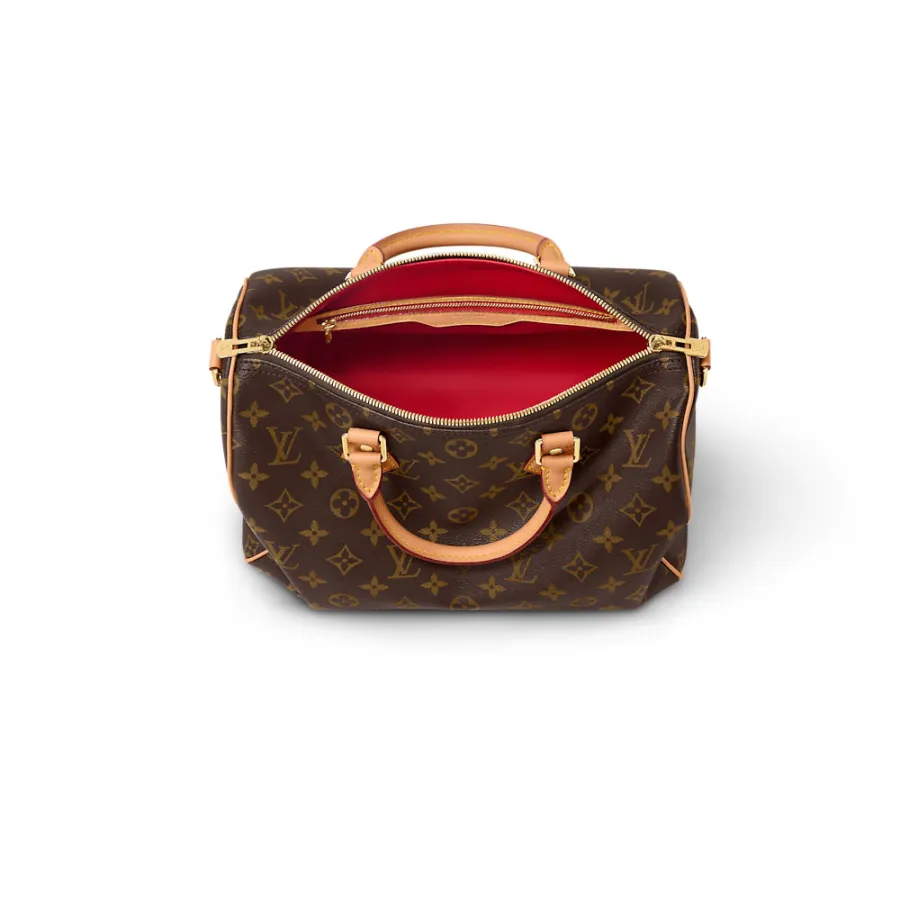 Louis Vuitton Bags Speedy