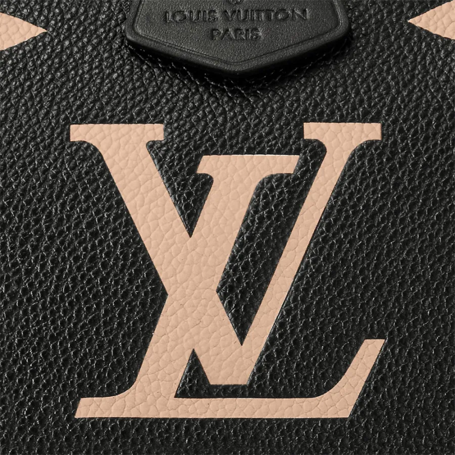 Louis Vuitton Bags Multi