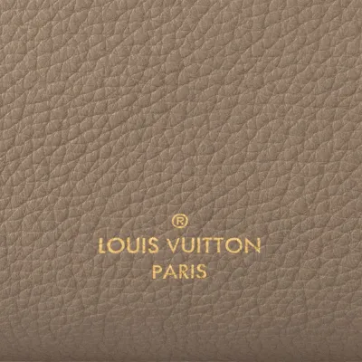 Louis Vuitton Bags Side Trunk