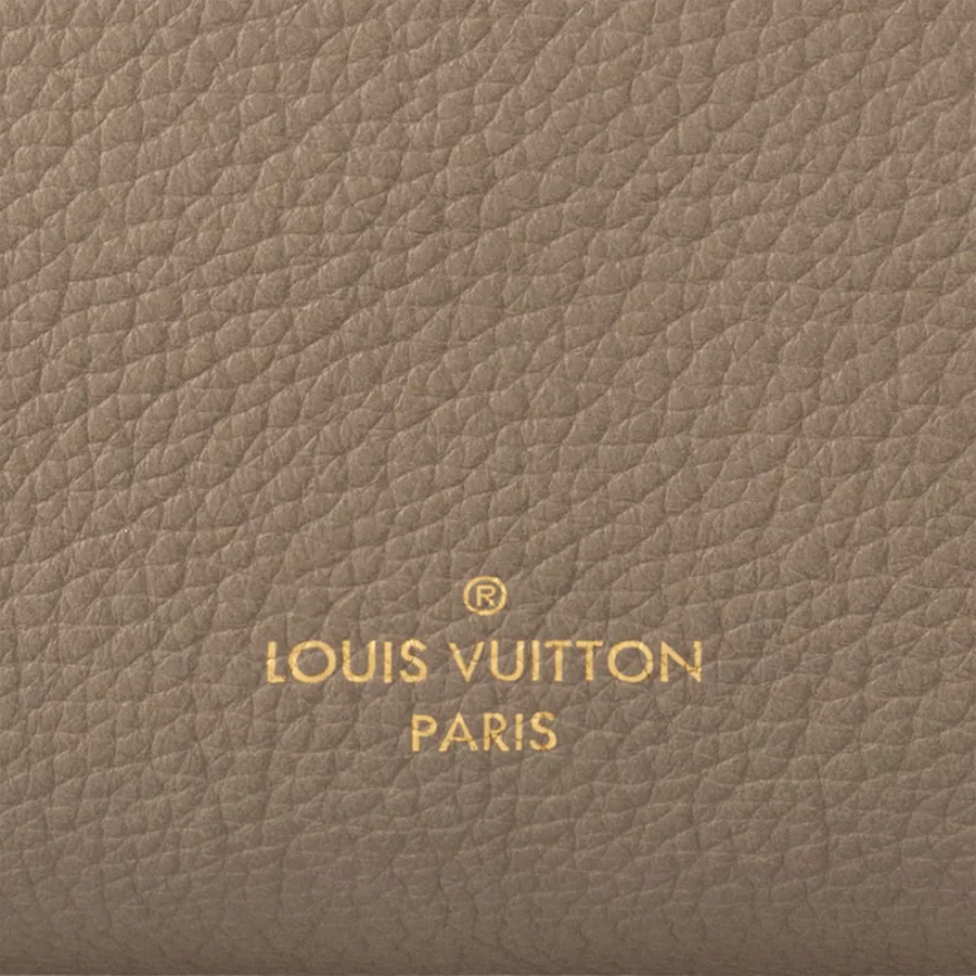 Louis Vuitton Bags Side Trunk