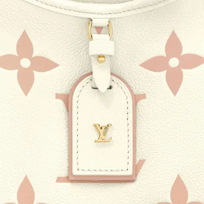 Louis Vuitton Bags Carryall