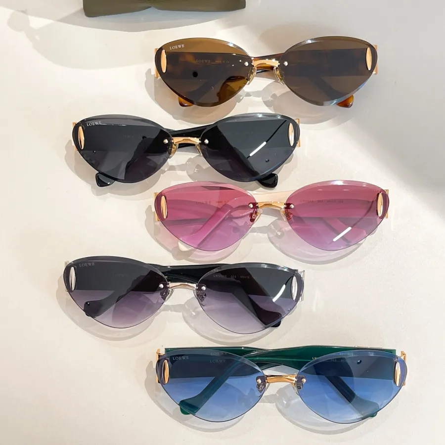 Loewe glasses blue/black/eggplant/leopard brown/purple white color Size 65口15-140