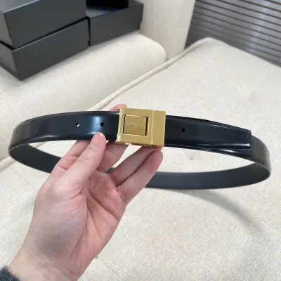 Saint Laurent LA 76 Belt In Burgundy/Black Smooth Calfskin With Gold/Silver Hardware 30mm