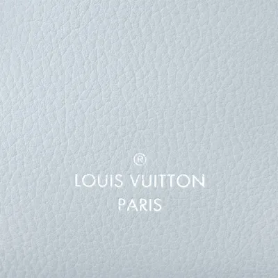 Louis Vuitton Bags Side Trunk