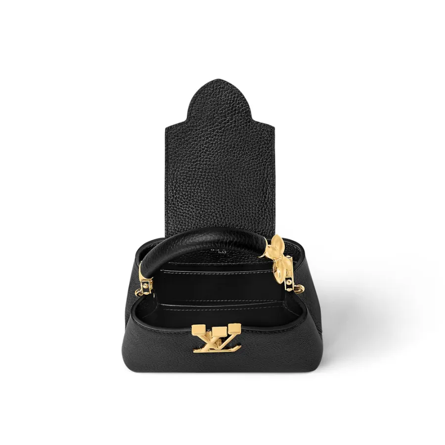 Louis Vuitton Bags Capucines