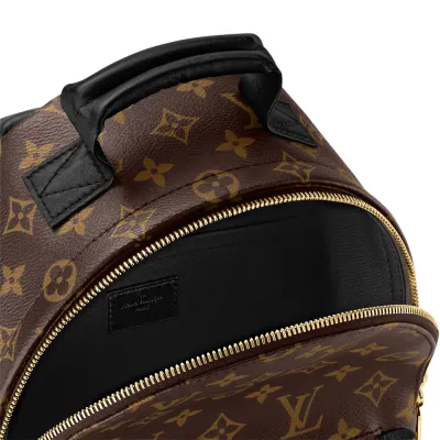 Louis Vuitton Bags Palm Springs