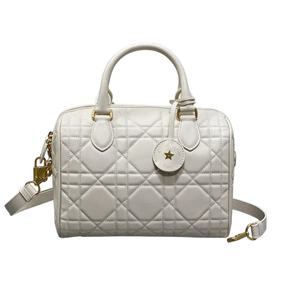 Dior Groove 25 Bag In Ice Blue/White/Pink/Biscuit/Black Macrocannage Calfskin With Gold Hardware