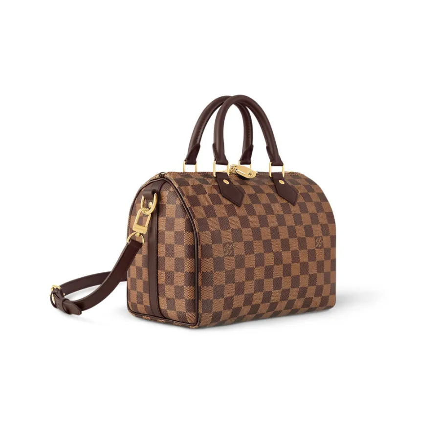 Louis Vuitton Bags Speedy