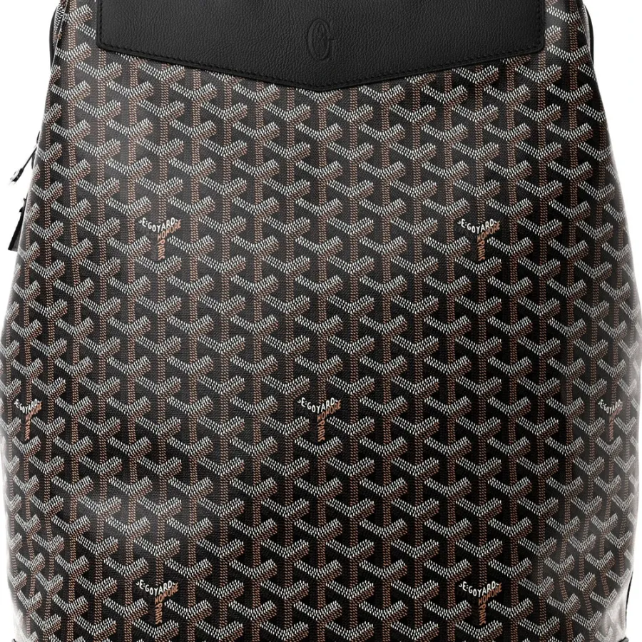 Goyard Cisalpin Backpack MM Black Goyardine Canvas & Calfskin Leather