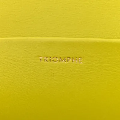 Celine Small Cuir Triomphe Chain Shoulder Bag Anis Shiny Calfskin Leather Gold Hardware