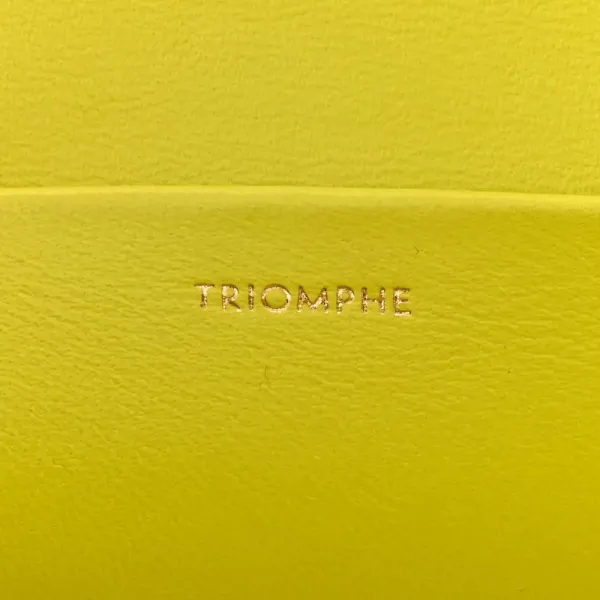 Celine Small Cuir Triomphe Chain Shoulder Bag Anis Shiny Calfskin Leather Gold Hardware - Image 8