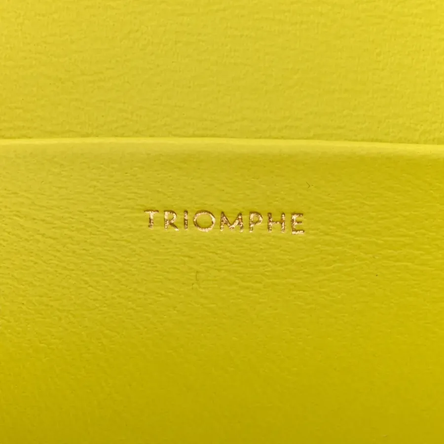 Celine Small Cuir Triomphe Chain Shoulder Bag Anis Shiny Calfskin Leather Gold Hardware