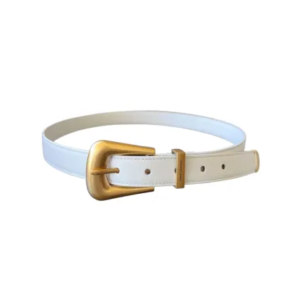 Saint Laurent Folk Buckle Belt In Black/White/Brown Smooth Leather With Gold/Silver Hardware 25mm