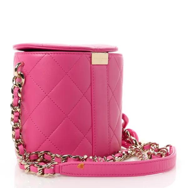 Chanel Elegant Chain Vanity Case Small Dark Pink Quilted Lambskin Leather & Resin Aged Gold Hardware - Image 3