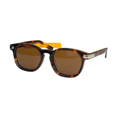 Louis Vuitton Wayfarer glasses orange blue/tawny/leopard/brown/blue/grey/sky blue/black/eggplant/black purple color Size 53口22-145
