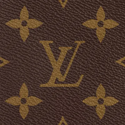 Louis Vuitton Bags Speedy