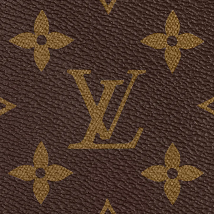 Louis Vuitton Bags Speedy
