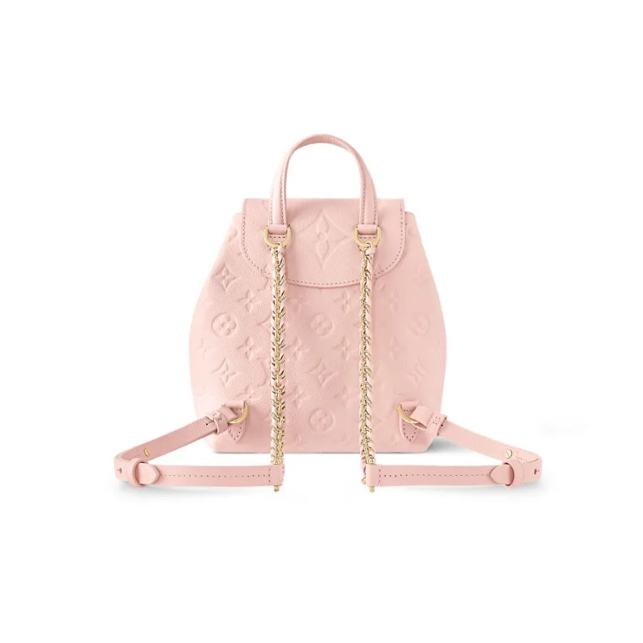 Louis Vuitton Bags BACKUP