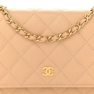 Chanel Wallet On Chain | Luxury Handbags