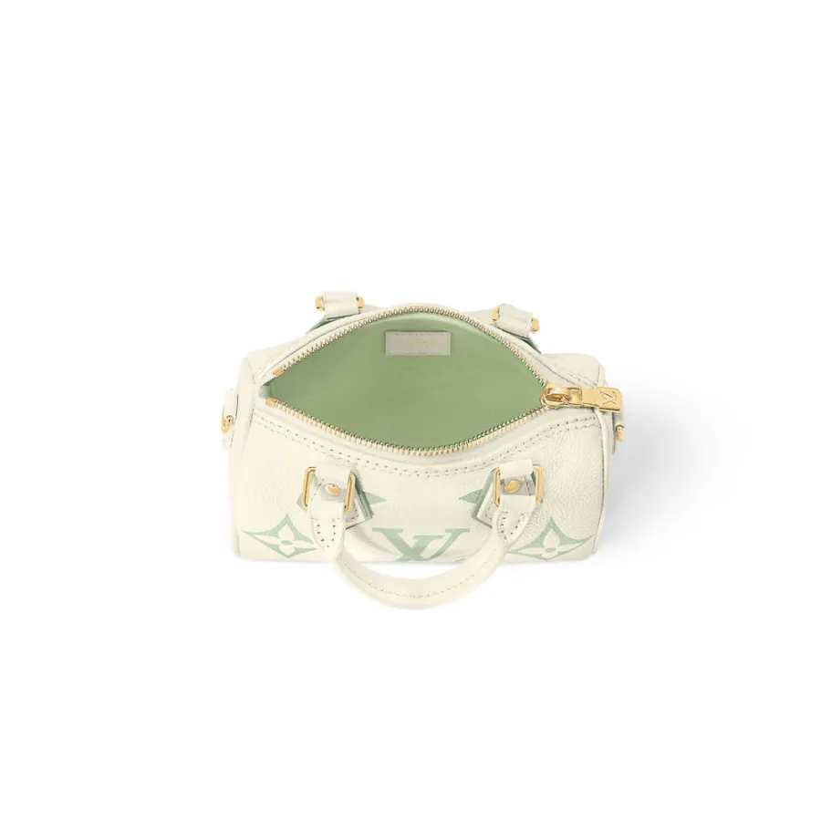 Louis Vuitton Bags Speedy