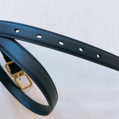 Saint Laurent Double Frame Buckle Belt In Black/Brown/Beige/White Calfskin With Gold Hardware 20mm