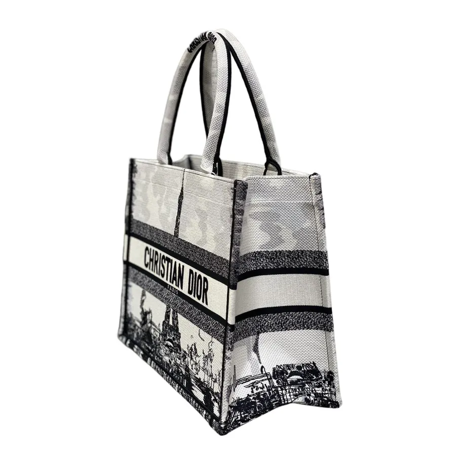Dior Medium Dior Book Tote White and Black Paris Embroidery