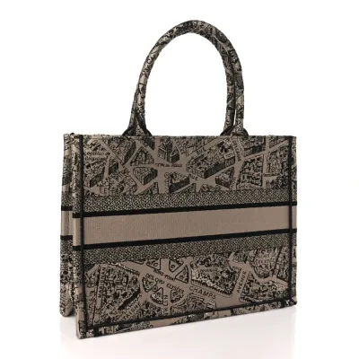 Dior Medium Plan De Paris Book Tote Beige/Black Embroidered Canvas