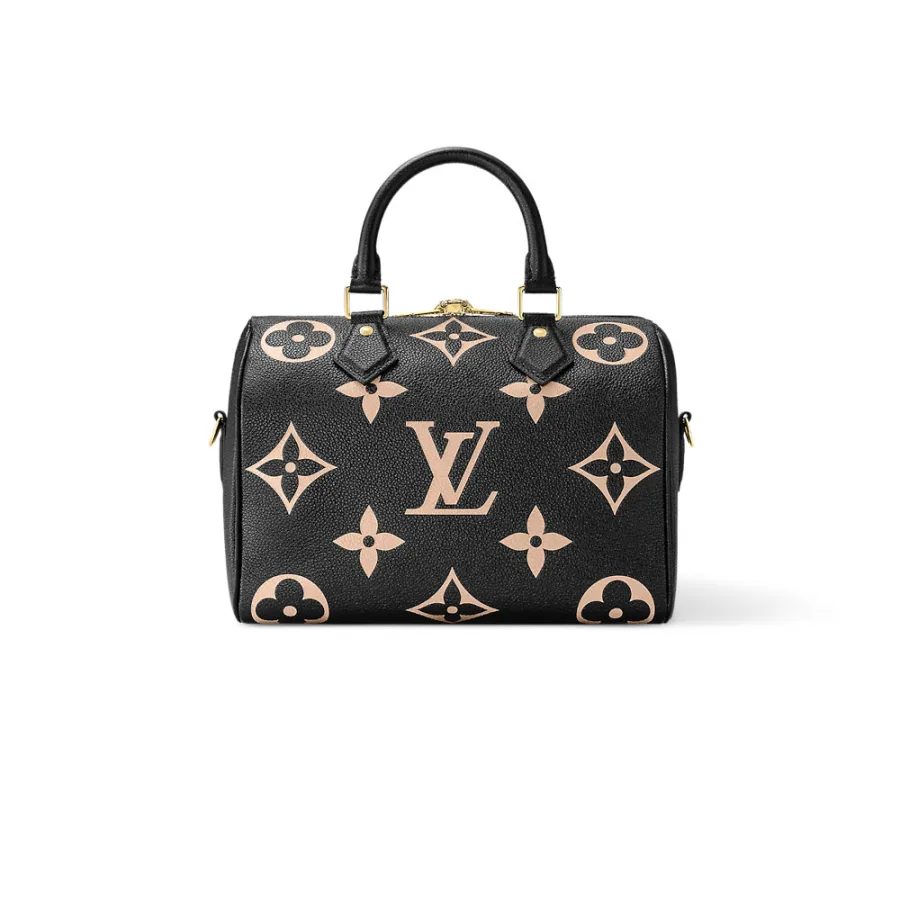 Louis Vuitton Bags Speedy
