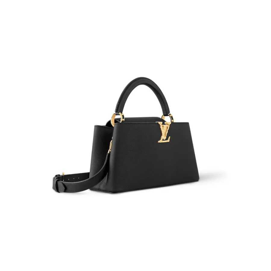 Louis Vuitton Bags Capucines