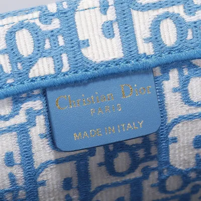 Dior Medium Dior Book Tote In Blue Dior Oblique Embroidered Canvas
