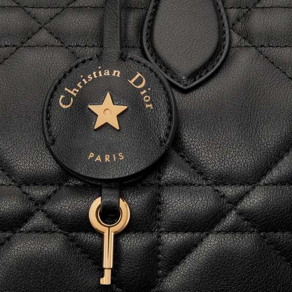 Dior Bags Groove - Image 6