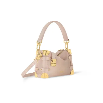 Louis Vuitton Bags Side Trunk