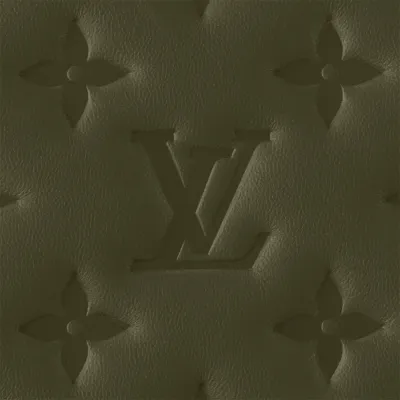 Louis Vuitton Bags Coussin