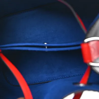 Louis Vuitton NeoNoe BB Black/Safran Epi Leather Silver Hardware