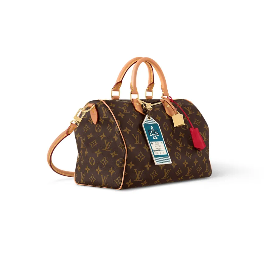 Louis Vuitton Bags Speedy