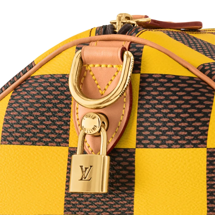 Louis Vuitton Bags Speedy