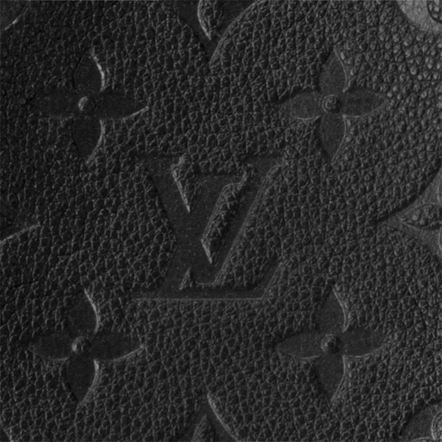 Louis Vuitton Bags NEONOE