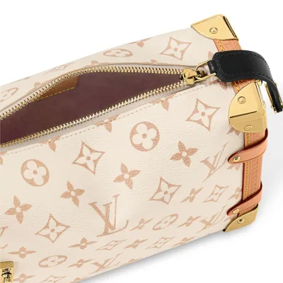 Louis Vuitton Bags Side Trunk