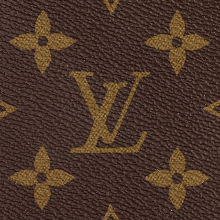 Louis Vuitton Bags Side Trunk