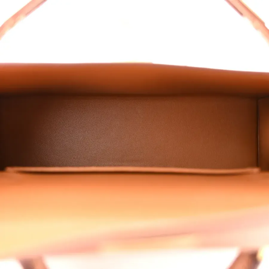 Hermès Mini Kelly Sellier Touch 20 Brown Madame Calfskin & Matte Alligator Leather Gold Hardware