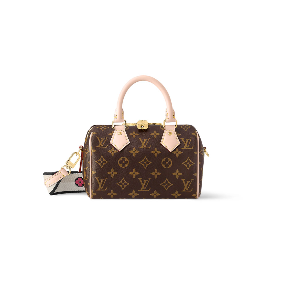 Bolsa Louis Vuitton Speedy