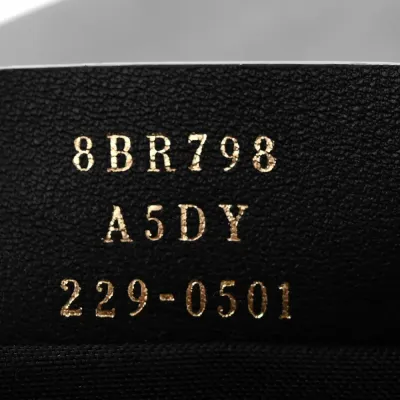 Fendi Small Fendigraphy Hobo Bag Black Matte Grace Vitello Leather Gold Hardware