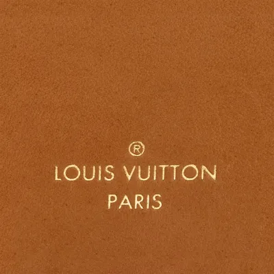 Louis Vuitton Bags Side Trunk